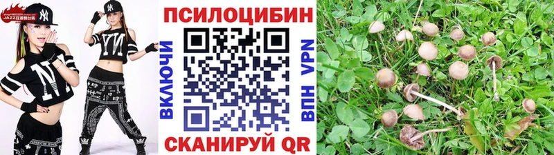 Псилоцибиновые грибы мухоморы  Стародуб 